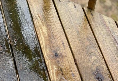 Fence : Deck Restoration and Pressure Washing