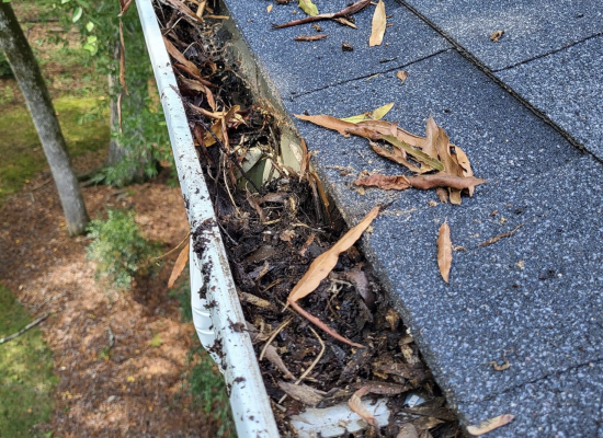 Gutter Cleaning (before) - Top Notch Pressure Washing