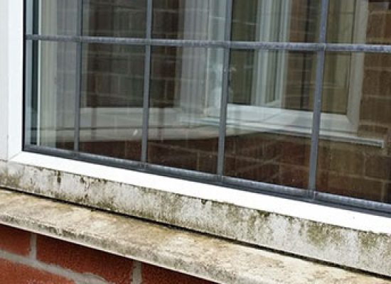 house window cleaning (before) – Top Notch Pressure Washing house window cleaning (before) - Top Notch Pressure Washing